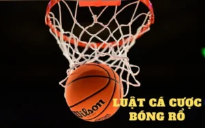 Tìm Hiểu Cá Cược Bóng Rổ 23WIN Với Các Kèo Cược Hấp Dẫn 6 Tìm Hiểu Cá Cược Bóng Rổ 23WIN Với Các Kèo Cược Hấp Dẫn