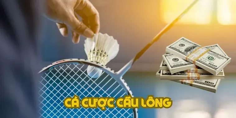 Bí Quyết Về Cách Chơi Cá Cược Cầu Lông Tại 23WIN Hiệu Quả