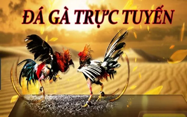 Đá Gà 23WIN Nền Tảng Trực Tuyến Đẳng Cấp Hàng Đầu Châu Á